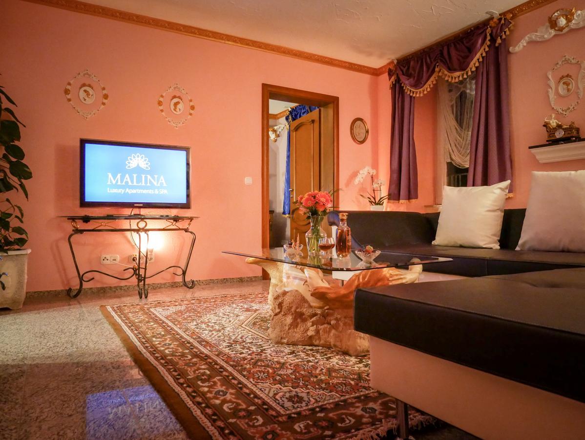 MALINA Luxury Apartments&SPA Todtnau Extérieur photo