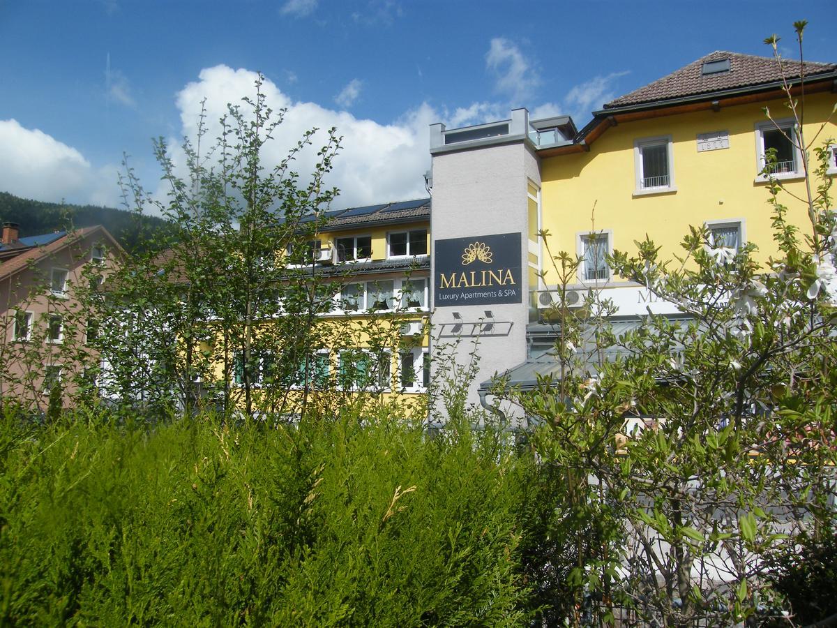 MALINA Luxury Apartments&SPA Todtnau Extérieur photo